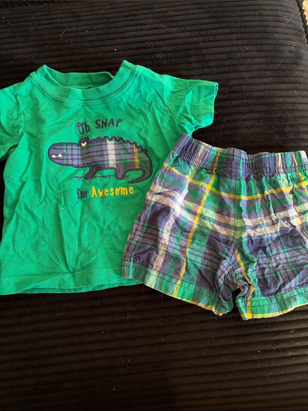 Green Crocodile Graphic Kids Outfit Set